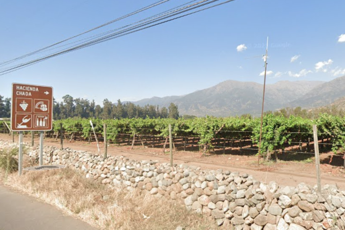 <p>Sobreoferta de cerezas y venta de campos: el complejo escenario que enfrenta una de las mayores empresas agrícolas del país</p>