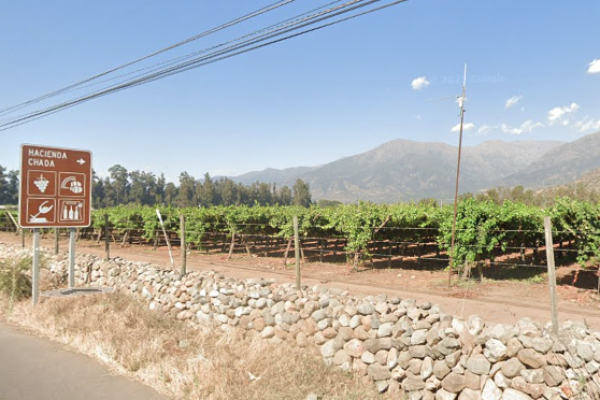 <p>Sobreoferta de cerezas y venta de campos: el complejo escenario que enfrenta una de las mayores empresas agrícolas del país</p>