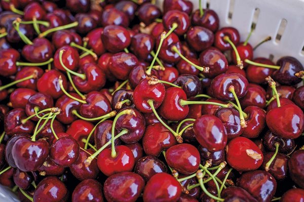 <p>Foto: Bloomberg</p>