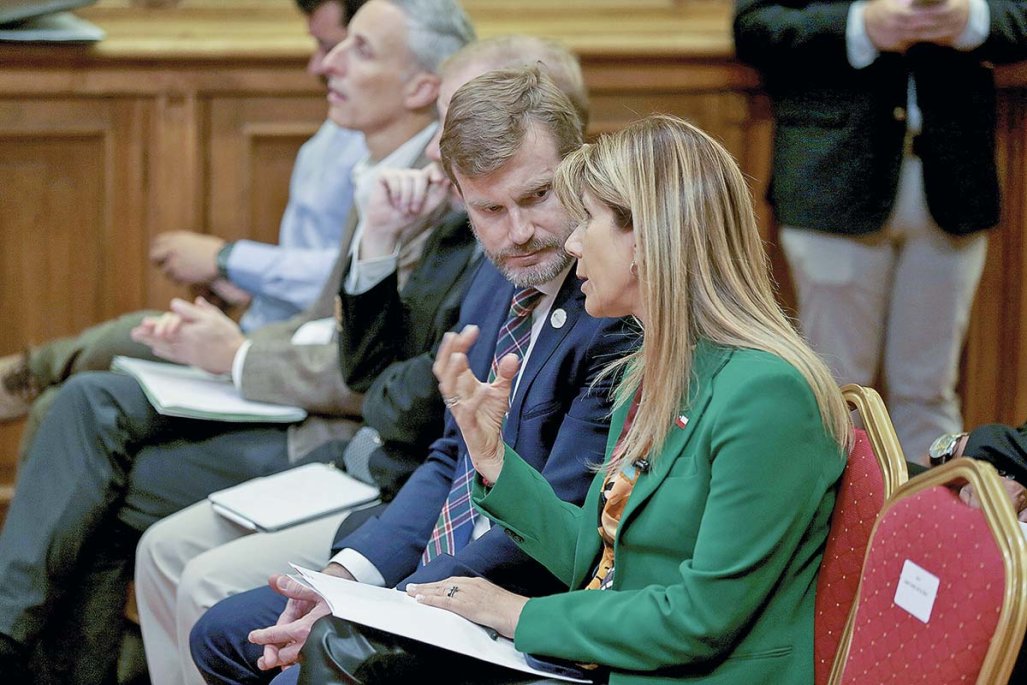 Ministra Rincón apunta a corregir distorsiones del segmento PMGD y plantea modernización de la SEC