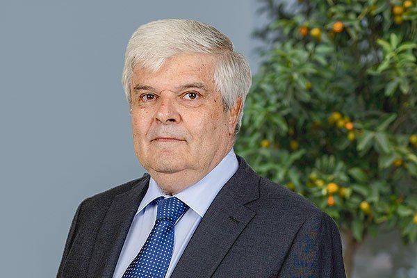 <p>Juan Hurtado Vicuña: “Existe una obsesión por forzar la participación de cuatro operadores móviles"</p>