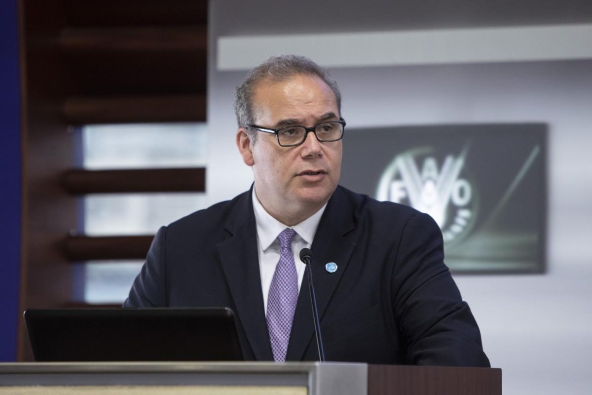<p>Máximo Torero, economista jefe de la FAO. (Foto FAO)</p>