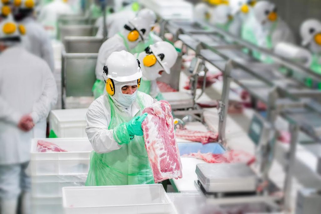 Master Agroindustrial, filial del gigante agroalimentario español Grupo Vall Companys, adquiere 38% de productora de carne porcina local Coexca