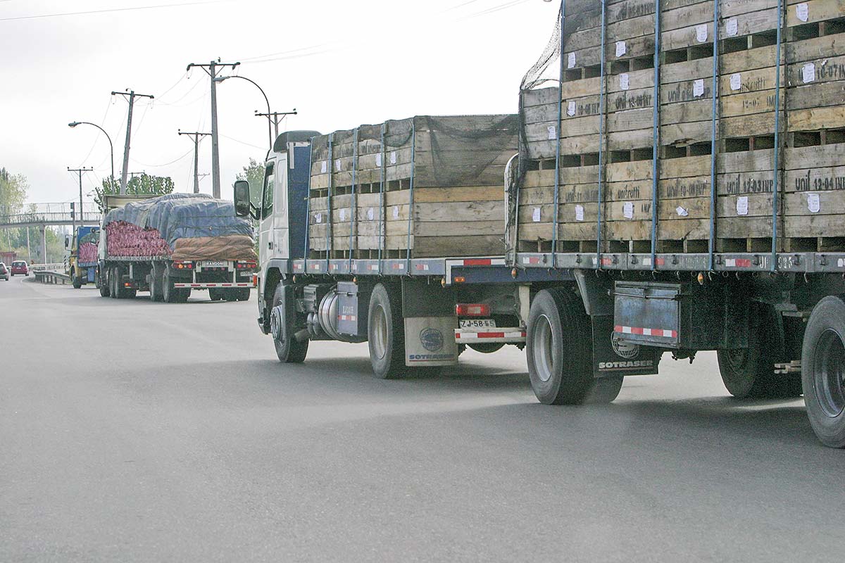 <p>Foto: Rodolfo Jara</p>