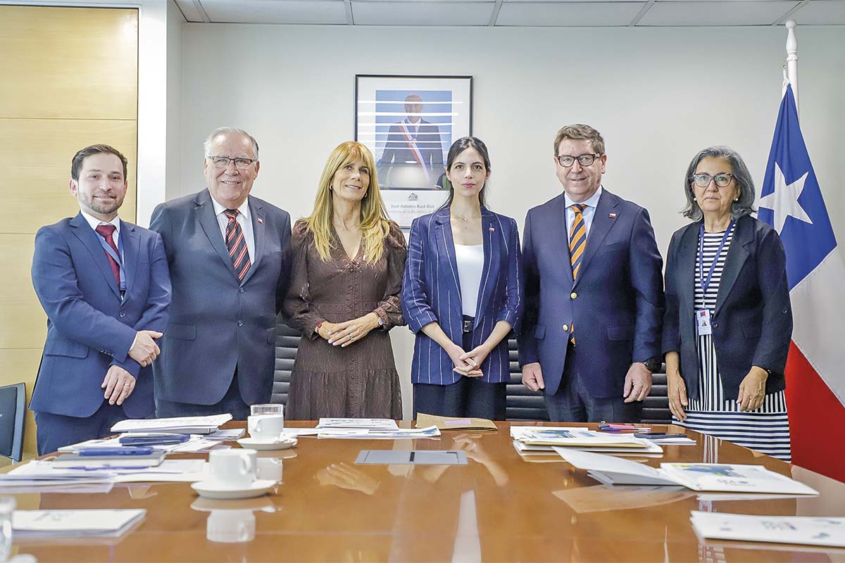 <p>Comité de Ministros está integrado por los titulares de Agricultura, Energía, Medio Ambiente, quien lo preside; Economía y Minería además de Salud. El director del SEA oficia como órgano técnico. </p>