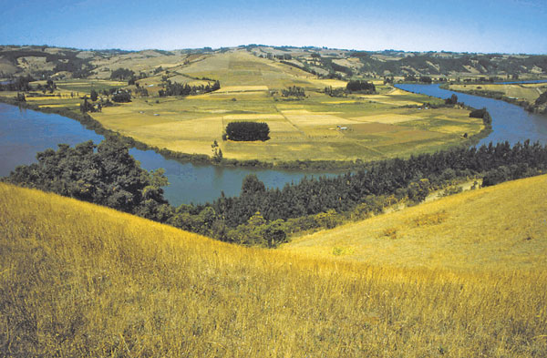 Fondo agrícola de Toesca e Ignacio del Río Goudie adquieren campo en Litueche para producir paltas, naranjas y ciruelas