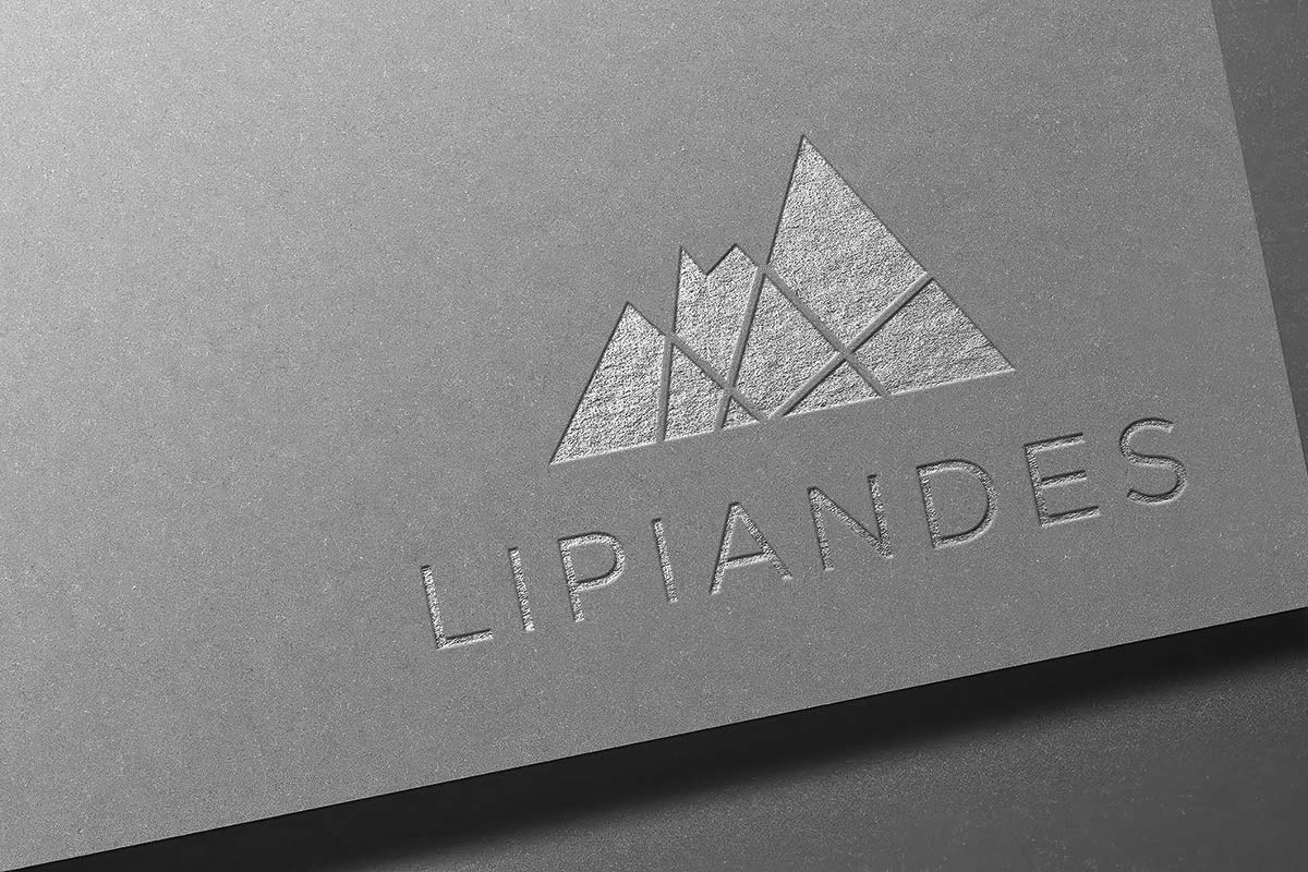 <p>LipiAndes suma 22 mil clientes de Internet domiciliario en Colombia</p>