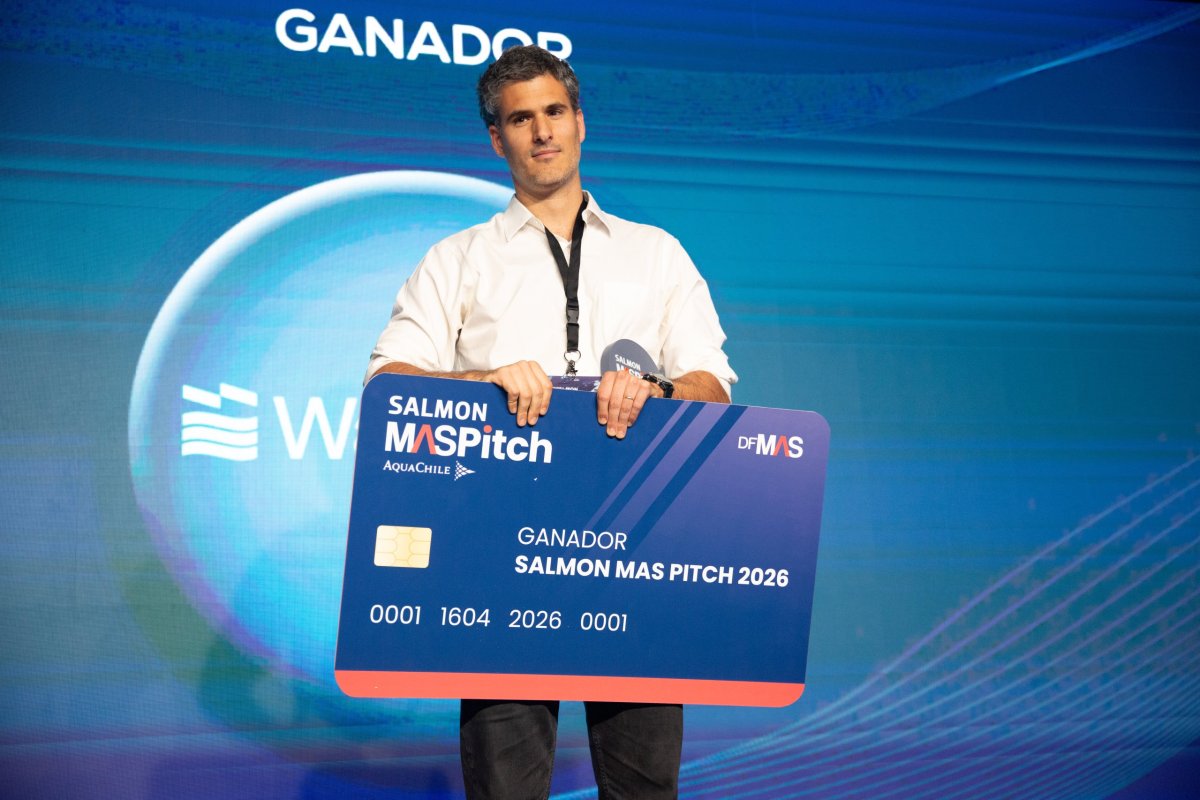 Watermind, los hermanos que predicen floraciones de algas con IA