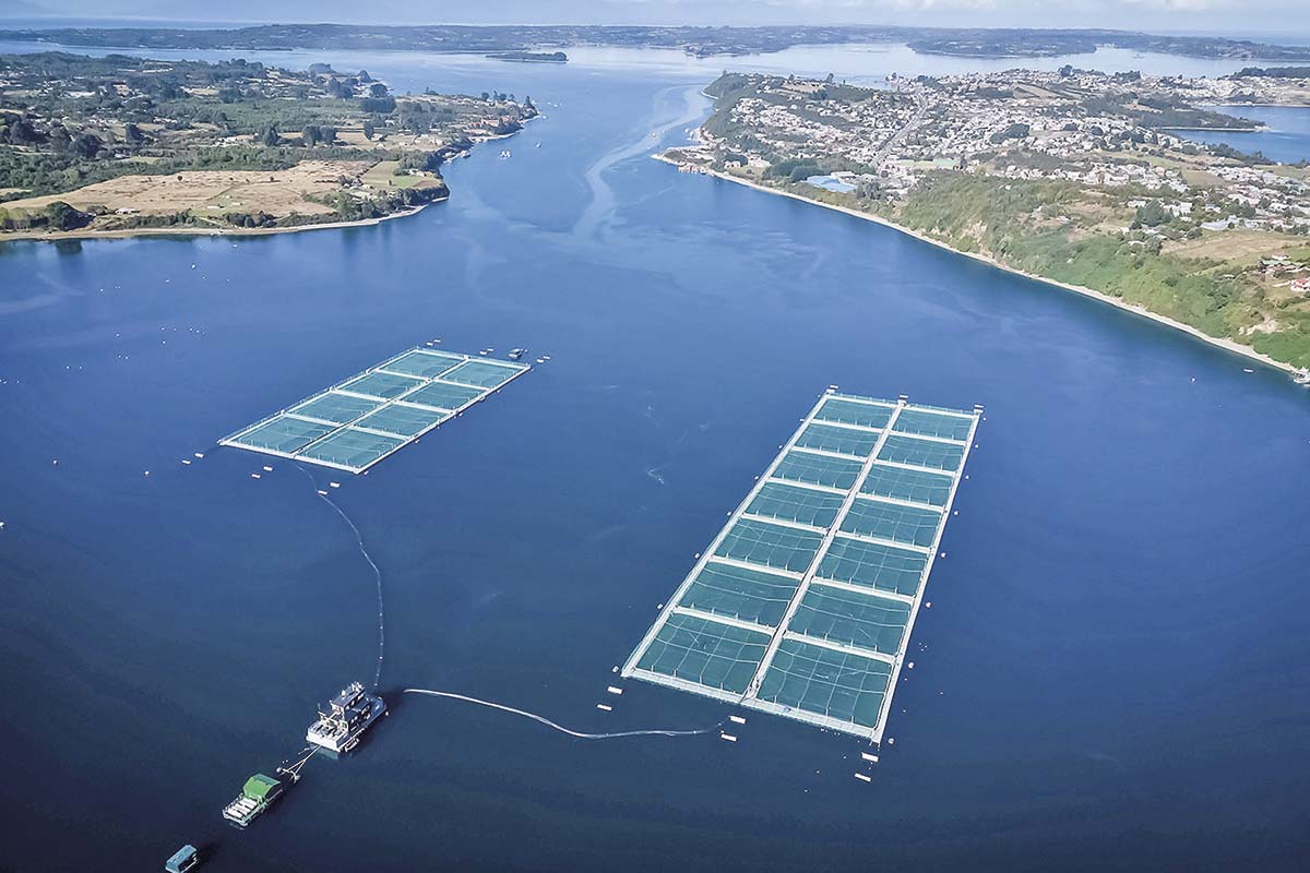 <p>Gobierno dará inicio a plan para destrabar inversiones salmoneras con el proyecto de reconstrucción nacional</p>