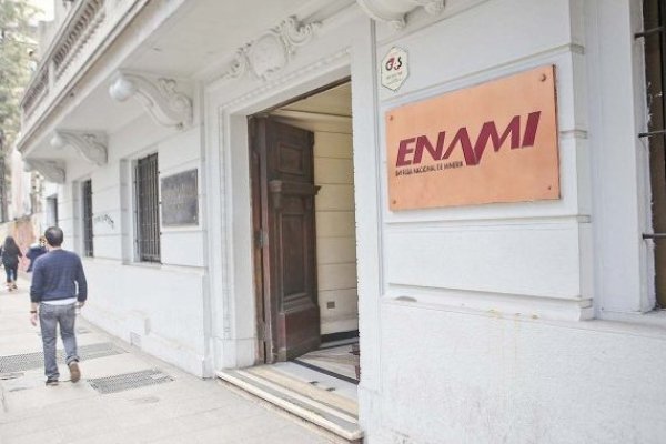 <p>Desde un asesor del BID hasta un gerente de Aclara: biministro Mas revela los nombres de los cinco directores que ingresarán a la Enami</p>