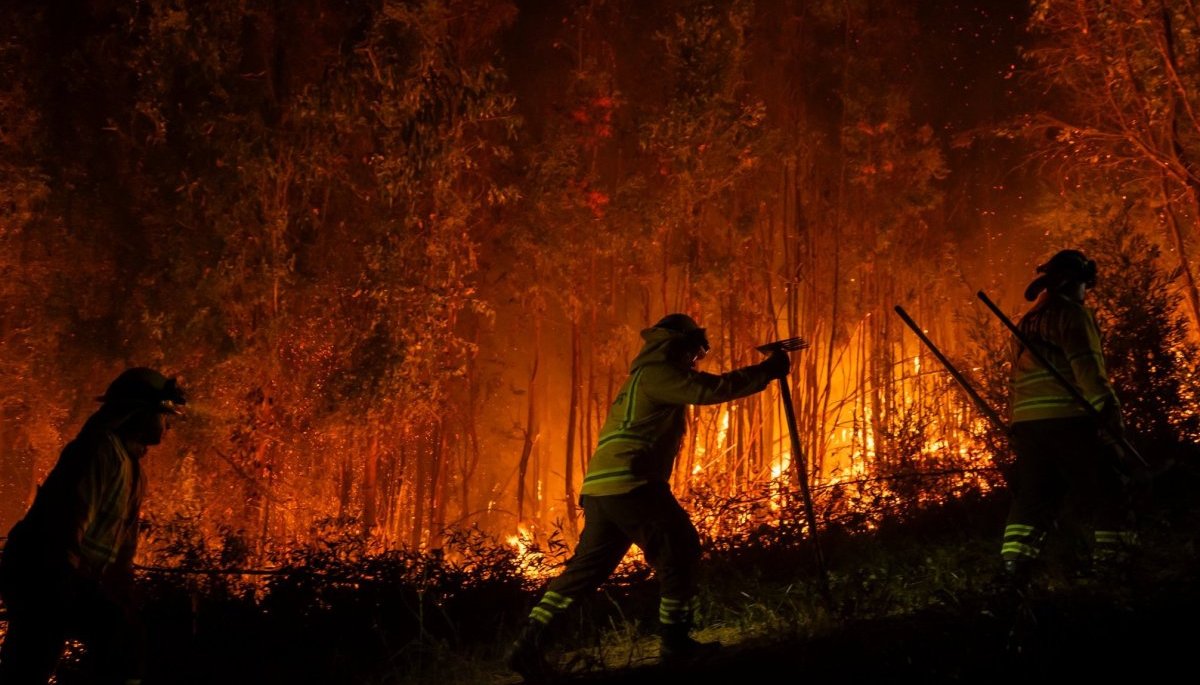 Reconstrucción tras incendios: proyecto detalla beneficios tributarios, repatriación de capitales, condonación de deudas municipales y facilidades de pagos a la TGR