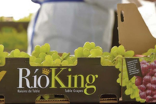 <p>La alerta de la compañía figura en su solicitud de reorganización judicial, a la que tuvo acceso Diario Financiero.</p>