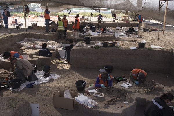 <p>Foto: Museo del Limarí</p>