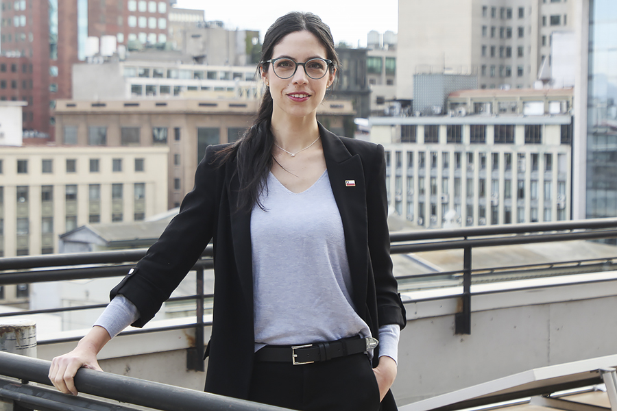 <p>Francisca Toledo, ministra del Medio Ambiente, preside el Comité de Ministros.</p>