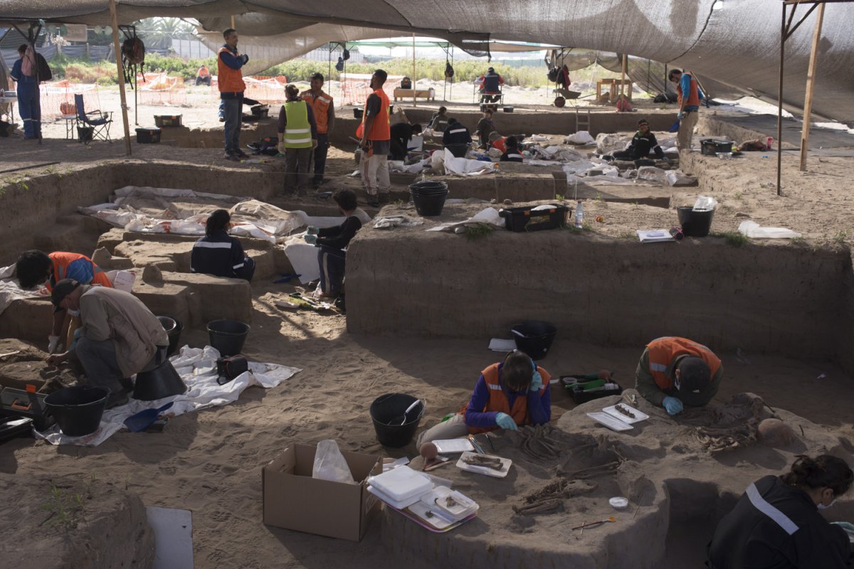 <p>Foto: Museo del Limarí</p>