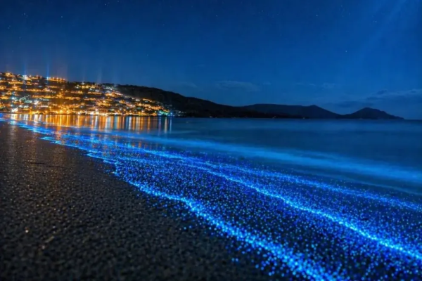<p>Fenómeno de bioluminiscencia marina impulsa turismo nocturno en Guanaqueros y anticipa alto flujo por fin de semana largo</p>
