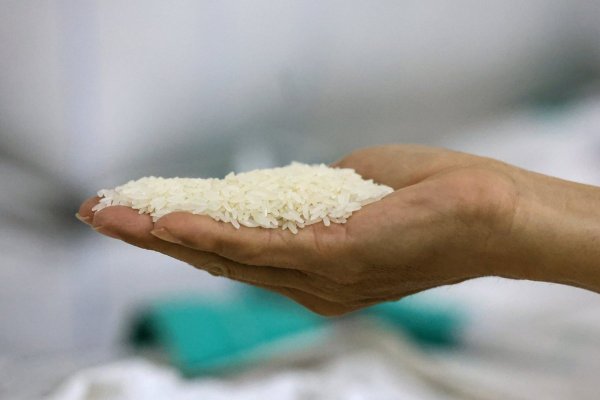 <p>El arroz es el alimento básico más consumido del mundo. (Foto: Bloomberg)</p>
