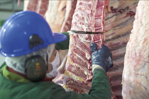Con nuevo estatus libre de fiebre aftosa, Brasil irrumpe en el mercado premium y borra 40 años de ventaja sanitaria de Chile