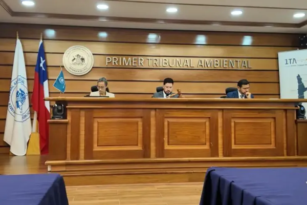 <p>Tribunal revisa aprobación de proyecto Playa Verde por cuestionamientos a riesgos sanitarios</p>
