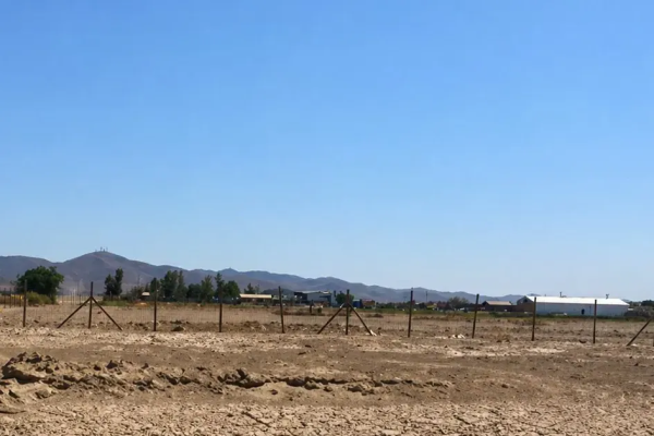 <p>Tribunal Ambiental anula fin anticipado de evaluación de parque solar Oxum por falta de fundamentos del SEA</p>