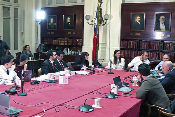 La ministra del Medio Ambiente, Francisca Toledo, asistió junto al subsecretario de Hacienda, Juan Pablo Rodríguez.