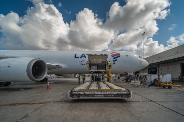 <p>Latam Cargo Colombia expande su red regional con operaciones regulares entre aeropuertos de Miami y Caracas</p>
