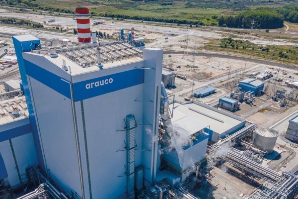 <p>Los ingresos del sector celulosa se contrajeron un 3,4% en términos interanuales.</p>