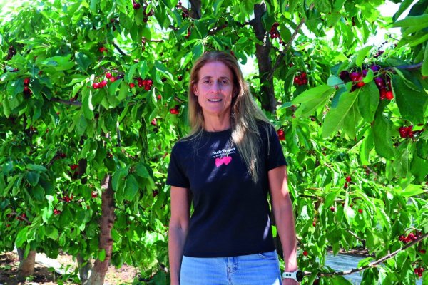 Claudia Soler, directora ejecutiva del Comité de Cerezas de Frutas de Chile.