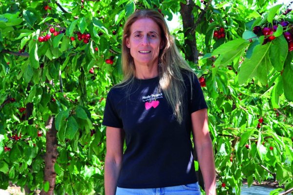 <p>Claudia Soler, directora ejecutiva del Comité de Cerezas de Frutas de Chile.</p>
