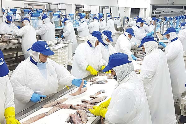 <p>Grupo Friosur se suma a demandas contra el Estado y pide más de US$ 46 mil millones por perjuicios ligados a la Ley de Fraccionamiento Pesquero</p>