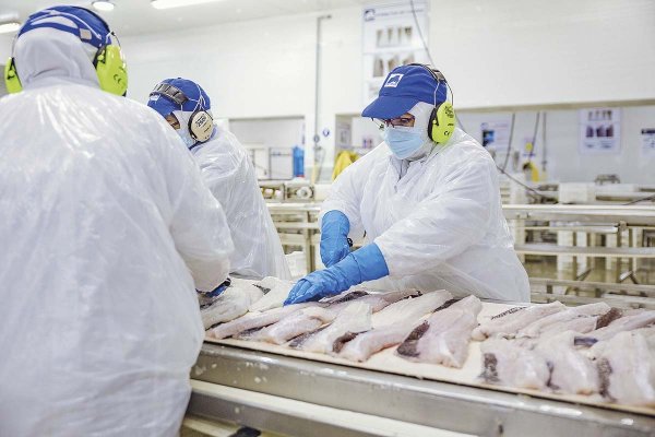 <p>Grupo Friosur se suma a demandas contra el Estado y pide más de US$ 46,6 millones por perjuicios ligados a la Ley de Fraccionamiento Pesquero</p>