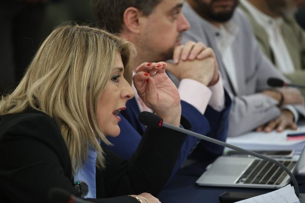 <p>Zandra Parisi fue una de las diputadas que presentó más de un centenar de cambios a la iniciativa.</p>