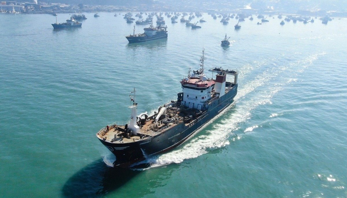 Industriales advierten baja significativa en pesca del jurel: sólo 28% de la cuota ha sido capturada y escenario amenaza operaciones en plantas del Biobío