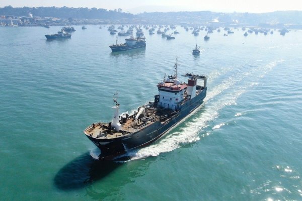 <p>Industriales advierten baja significativa en pesca del jurel: sólo 28% de la cuota ha sido capturada y escenario amenaza operaciones en plantas del Biobío</p>
