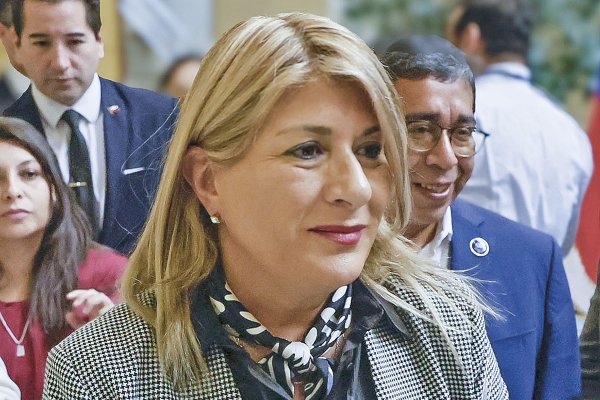 <p>"Ningún gobierno debiese mantener un impuesto tan canalla como el del IVA a los medicamentos, porque nadie elige enfermarse", declaró también la parlamentaria. Foto: Aton</p>