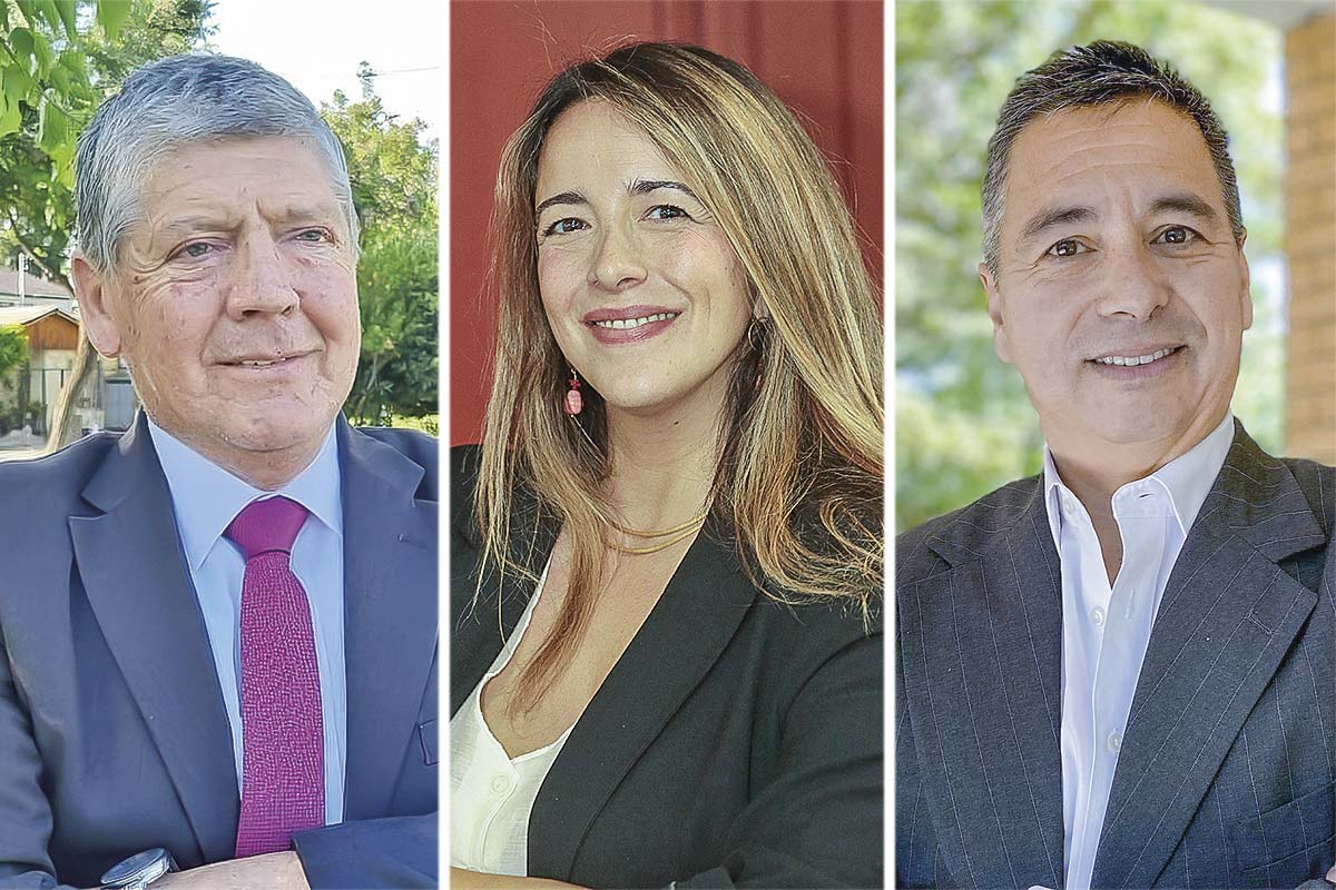 <p>Héctor Sandoval, presidente de Conapyme. Soledad Hormazábal, directora de Evidencia de Pivotes. Jorge Welch, presidente de la ASECH. Fotos: José Montenegro y Archivo</p>