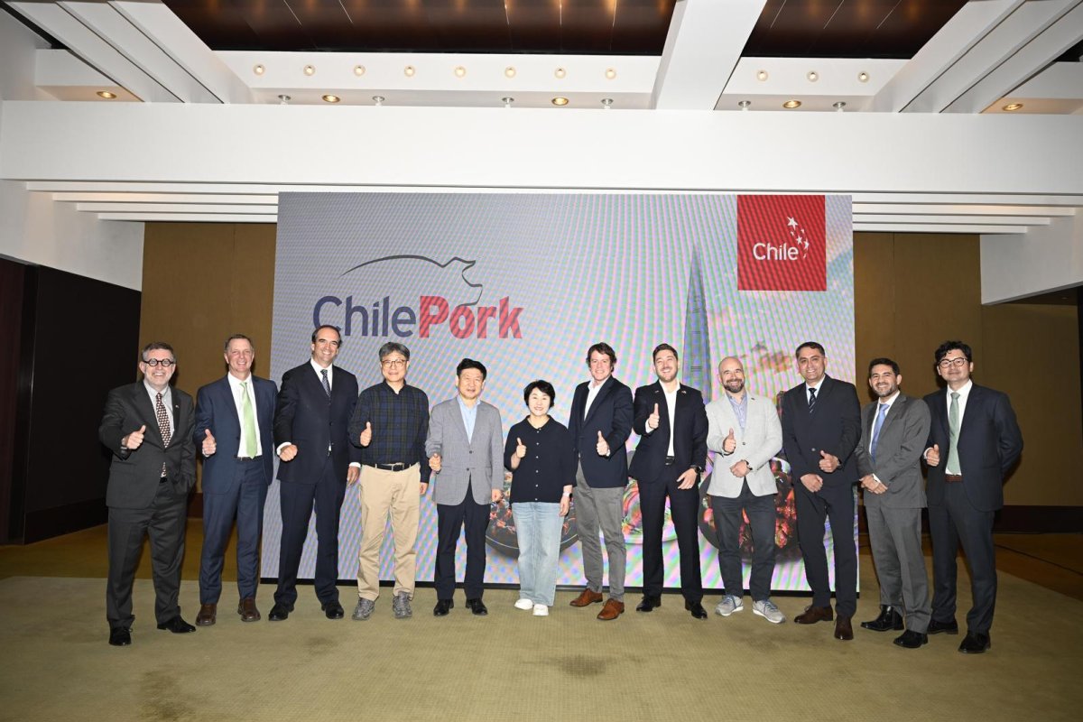<p>Chile conquista el paladar coreano: carne de cerdo lidera las exportaciones de alimentos a Corea del Sur</p>