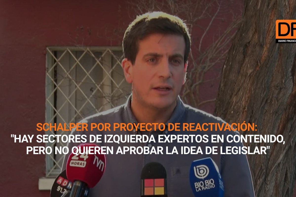 Ahora en DF | Schalper por proyecto de reactivación: "Hay sectores de izquierda expertos en contenido, pero no quieren aprobar la idea de legislar"