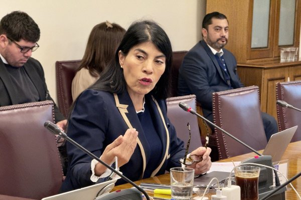 <p>La ministra de Ciencia, Tecnología, Conocimiento e Innovación, Ximena Lincolao. (Foto: MinCiencia)</p>