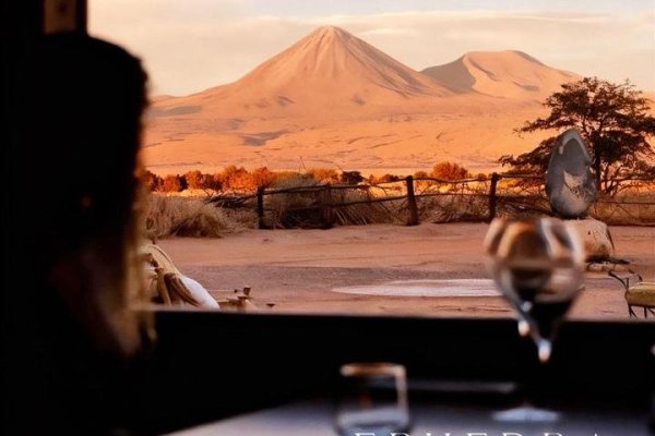Carne de llama en vez de vacuno: el único restaura
