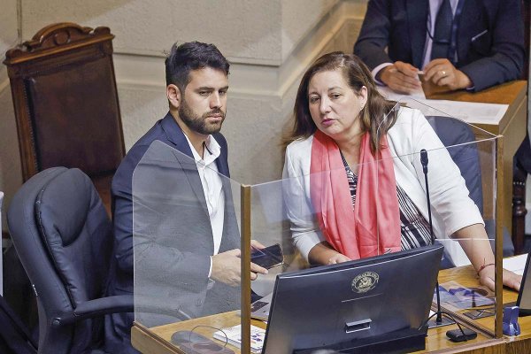 <p>Los senadores comenzarán a analizar el proyecto de reactivación la próxima semana. Foto: Aton.</p>