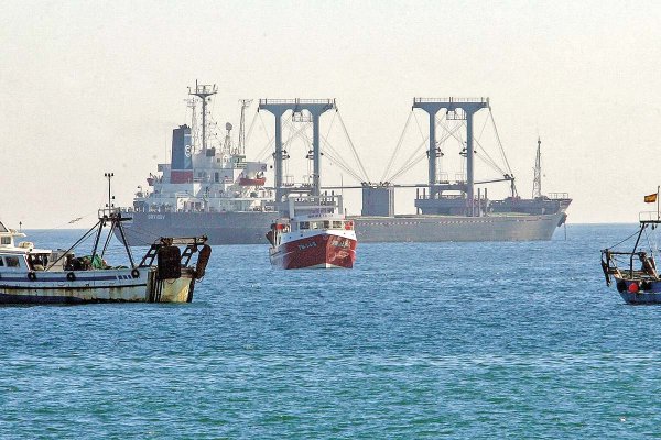 Desaparición del jurel impacta en industria pesquera y a todo el sector fabril