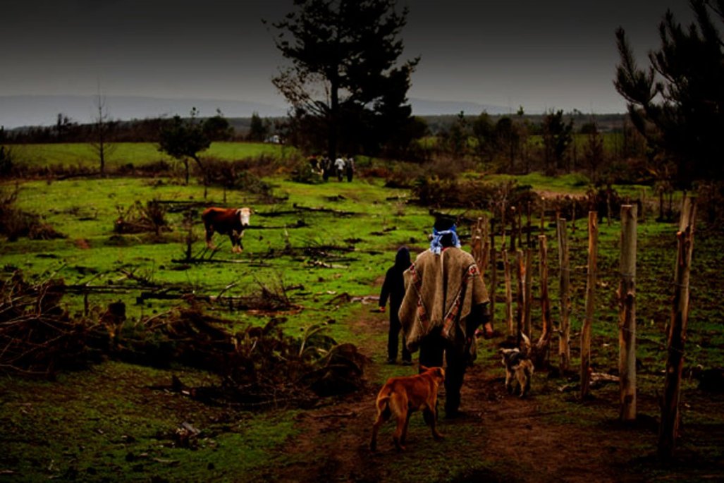 Presidente anuncia que se reformulará la ley indígena para eliminar restricciones a compra y uso de tierras