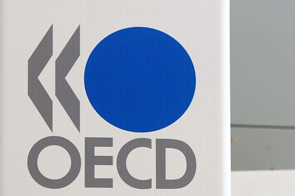 <p>OCDE ve mayores riesgos a la baja para el PIB de Chile y plantea que el impacto del proyecto misceláneo "dependerá mucho del diseño"</p>