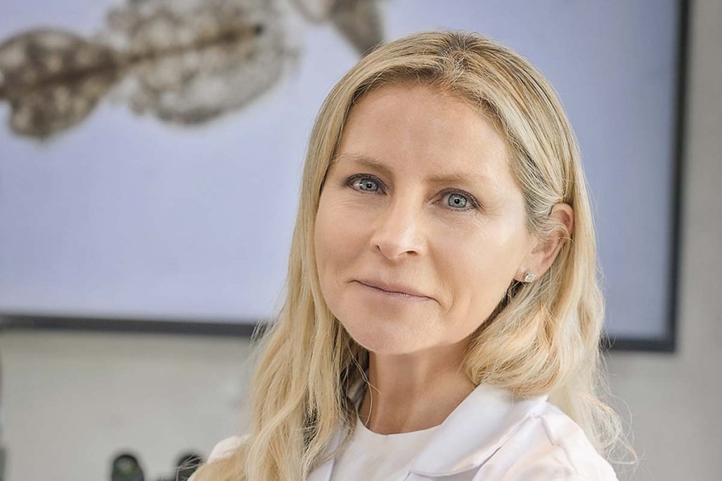 Biotech chilena Sudvet abre oficinas en Noruega y Australia para globalizar sus soluciones botánicas para el salmón