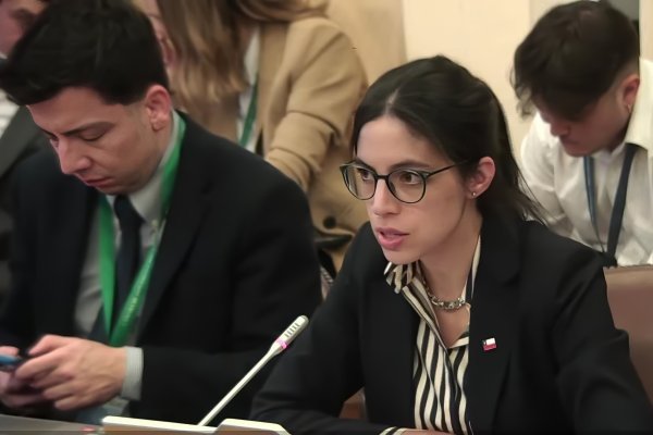 <p>Francisca Toledo, ministra del Medio Ambiente, en la comisión del sector de la Cámara de Diputados.</p>