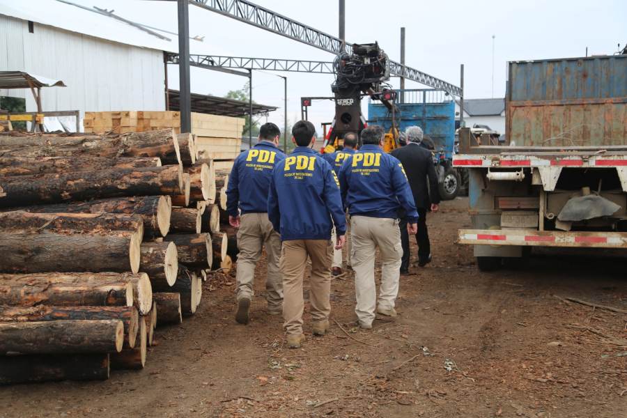 <p>Histórico golpe al robo de madera en Ñuble: operativo dejó 17 detenidos y $ 3 mil millones incautados en recursos forestales sustraídos</p>
