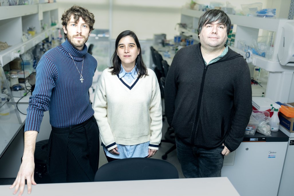 El difícil camino de beetechnology, la biotech que