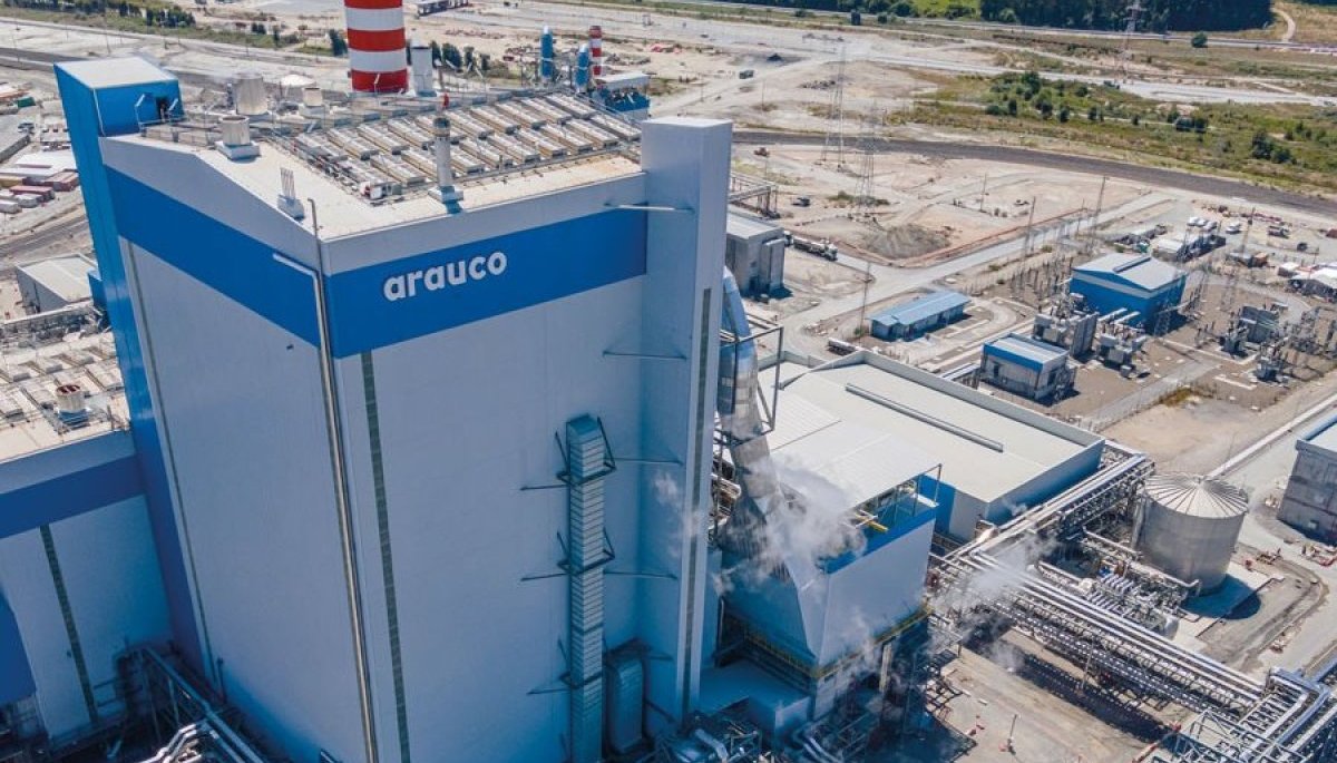 Empresa forestal Arauco desvincularía a cerca de 100 trabajadores de diferentes áreas de la compañía