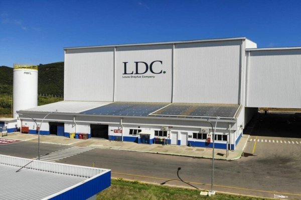 Gigante francés del agro invertirá US$ 400 millones para levantar una de las mayores plantas de girasol en Argentina